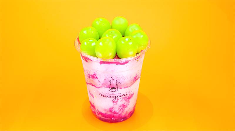 Tokyo Shave Ice ネコゴオリ